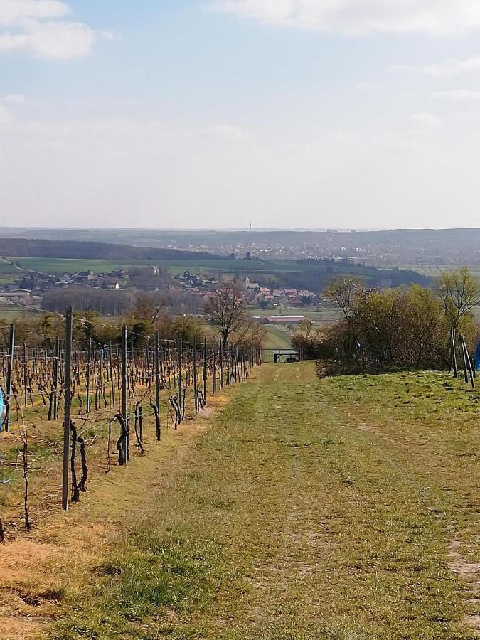 Ferienwohnung Moritzwiese Naumburg  Kültér fotó